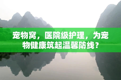 宠物窝，医院级护理，为宠物健康筑起温馨防线？