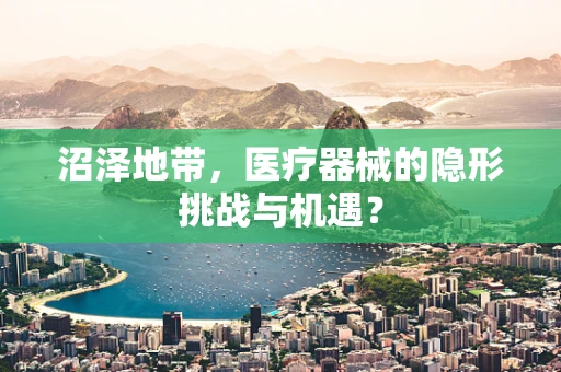 沼泽地带，医疗器械的隐形挑战与机遇？