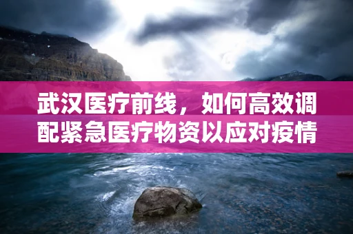 武汉医疗前线，如何高效调配紧急医疗物资以应对疫情？