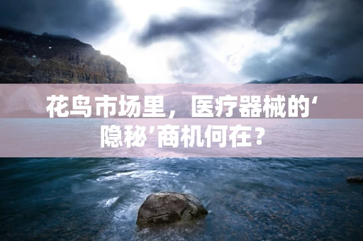 花鸟市场里，医疗器械的‘隐秘’商机何在？