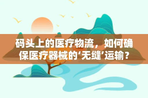 码头上的医疗物流，如何确保医疗器械的‘无缝’运输？