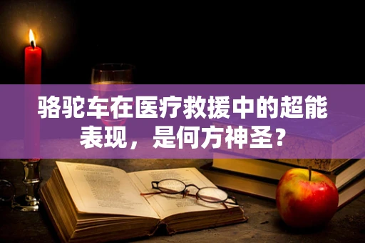 骆驼车在医疗救援中的超能表现，是何方神圣？