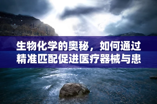 生物化学的奥秘，如何通过精准匹配促进医疗器械与患者生物标志物的和谐共舞？