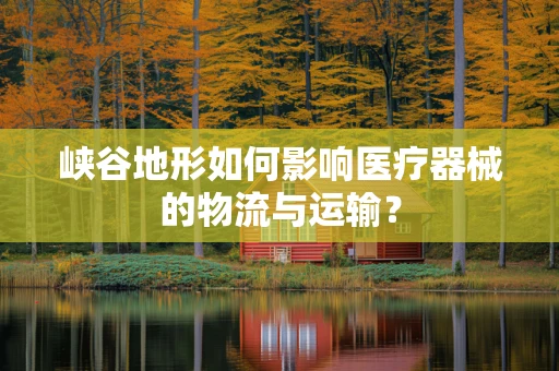 峡谷地形如何影响医疗器械的物流与运输？