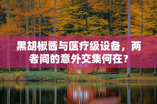 黑胡椒酱与医疗级设备，两者间的意外交集何在？